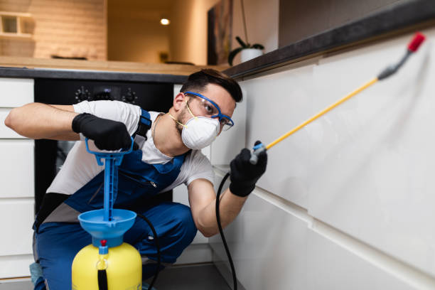 Best Cockroach Control Services  in Columbus, NE