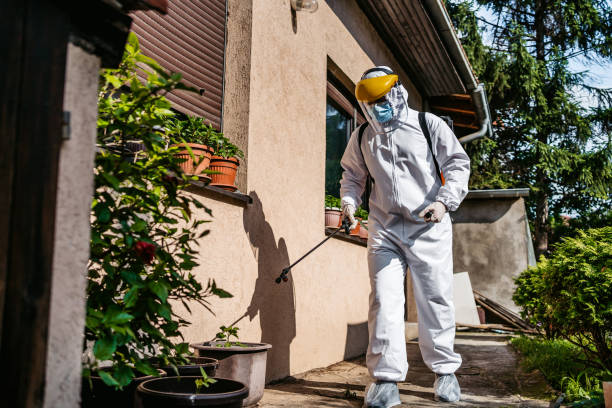 Best Flea Control Services  in Columbus, NE